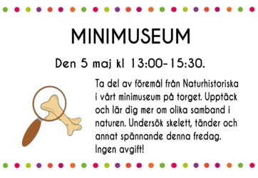 Minimuseum