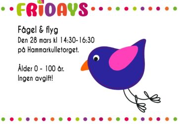 Fågel & flyg